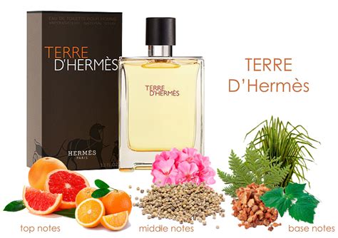 hermes terre fragrance notes|terre d'hermes perfume shop.